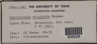 Image Associated With the Occurence